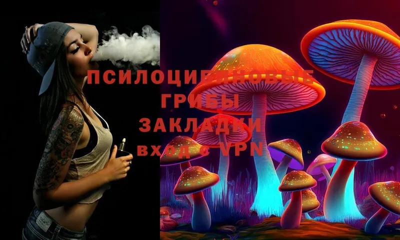 Псилоцибиновые грибы MAGIC MUSHROOMS  Коломна 