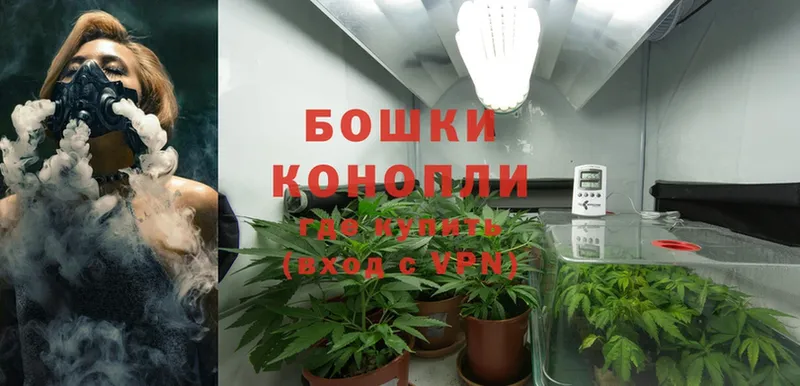 кракен вход  Коломна  Канабис Ganja 